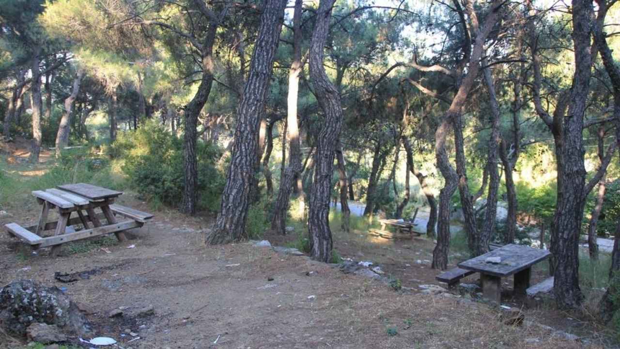Tarihi alan