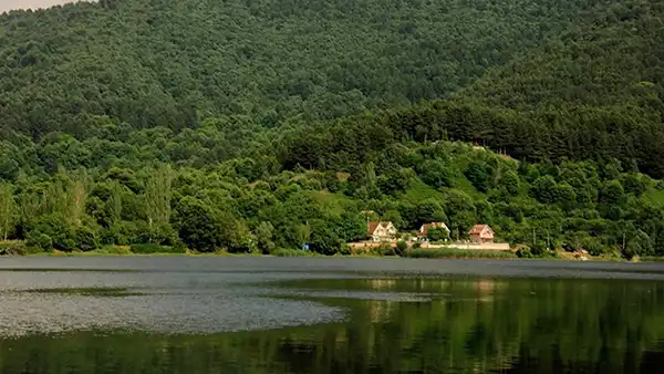 Balık Tutma