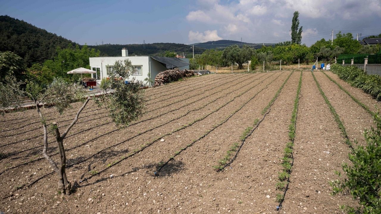 Doğal gübre toplama çalışmaları